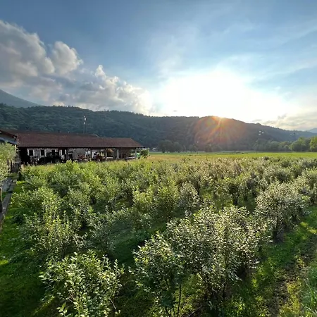 Agroturismo Cascina Volpi *